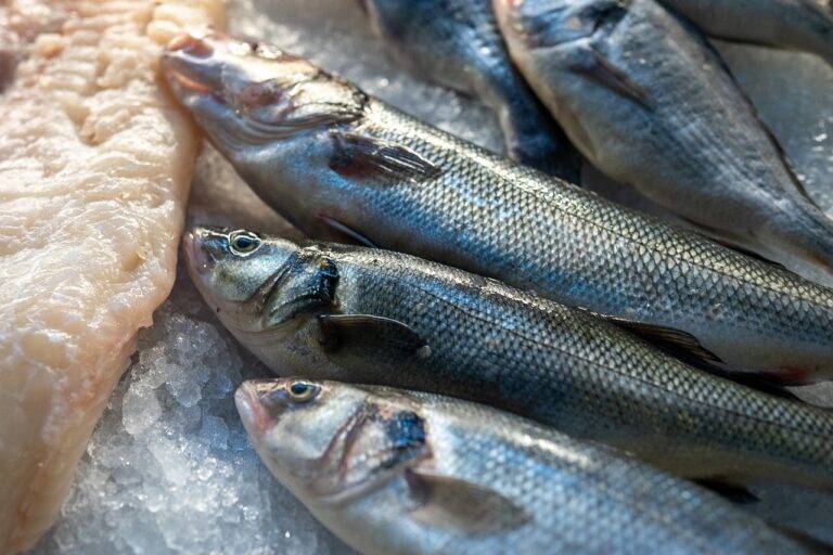 Food Safety Innovations: Ensuring Pathogen-Free Seafood Products